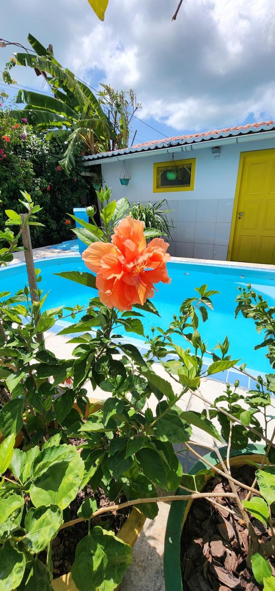 Mandala Dreams Pousada E Portal Holistico Maceió 외부 사진