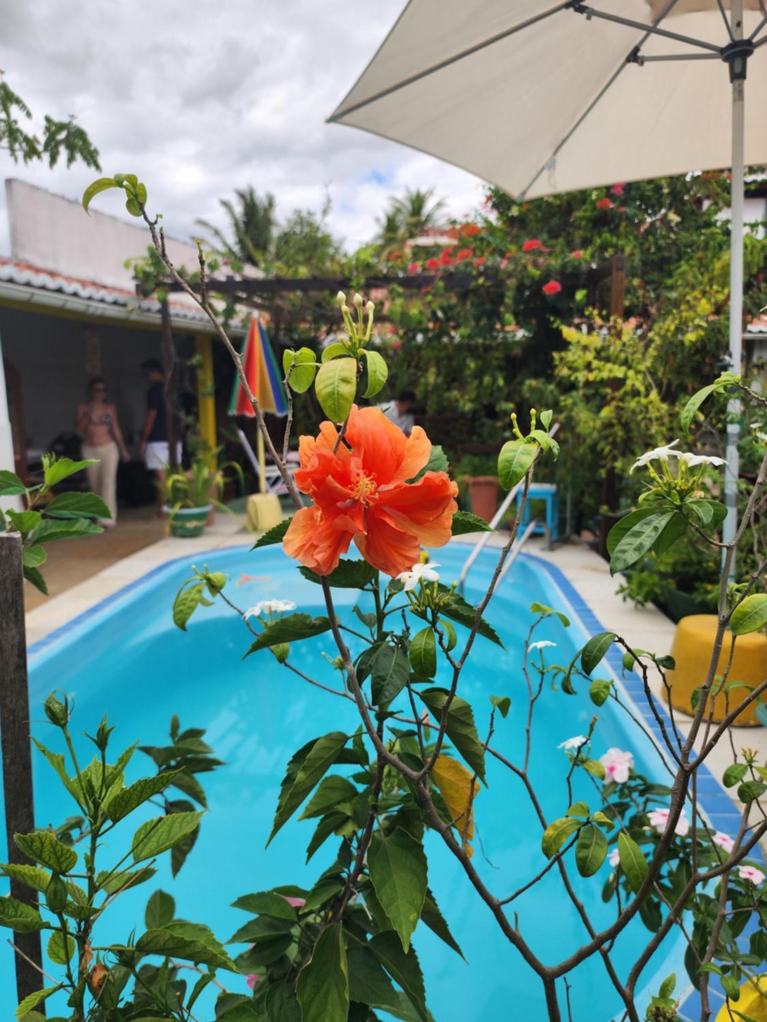 Mandala Dreams Pousada E Portal Holistico Maceió 외부 사진