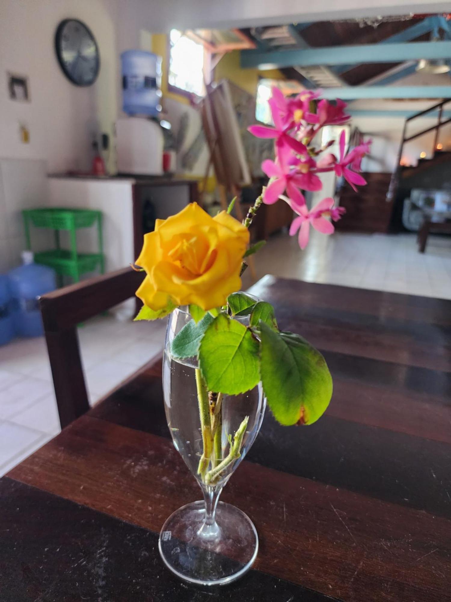 Mandala Dreams Pousada E Portal Holistico Maceió 외부 사진